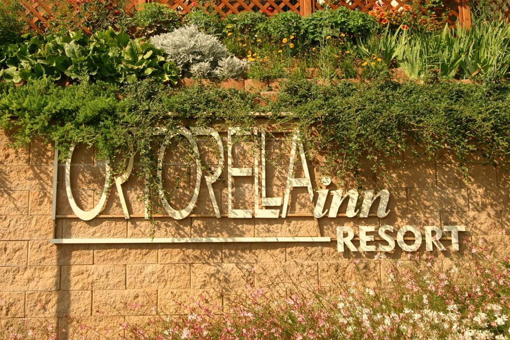 Residence Tortorella Торторето Экстерьер фото
