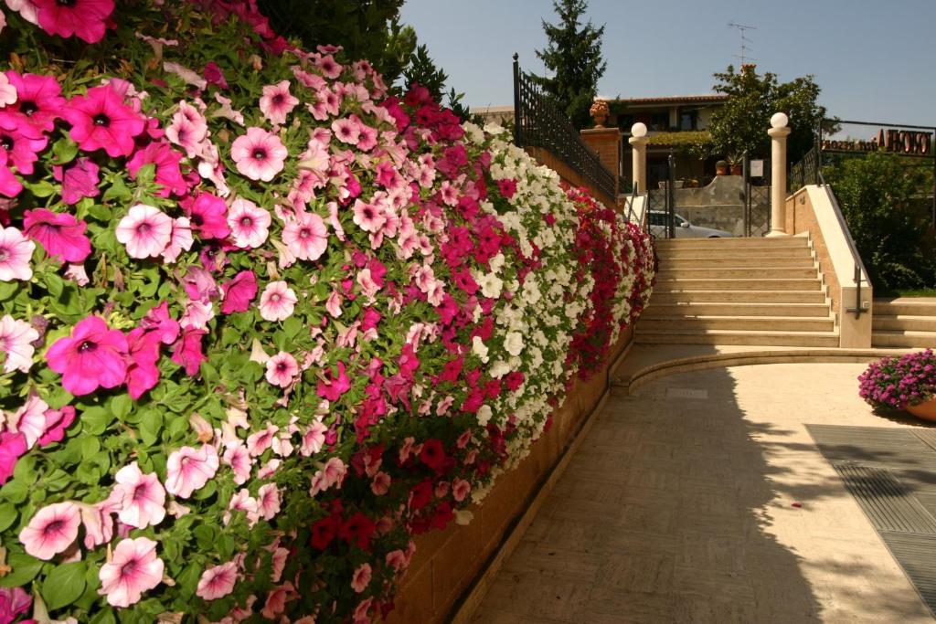 Residence Tortorella Торторето Экстерьер фото